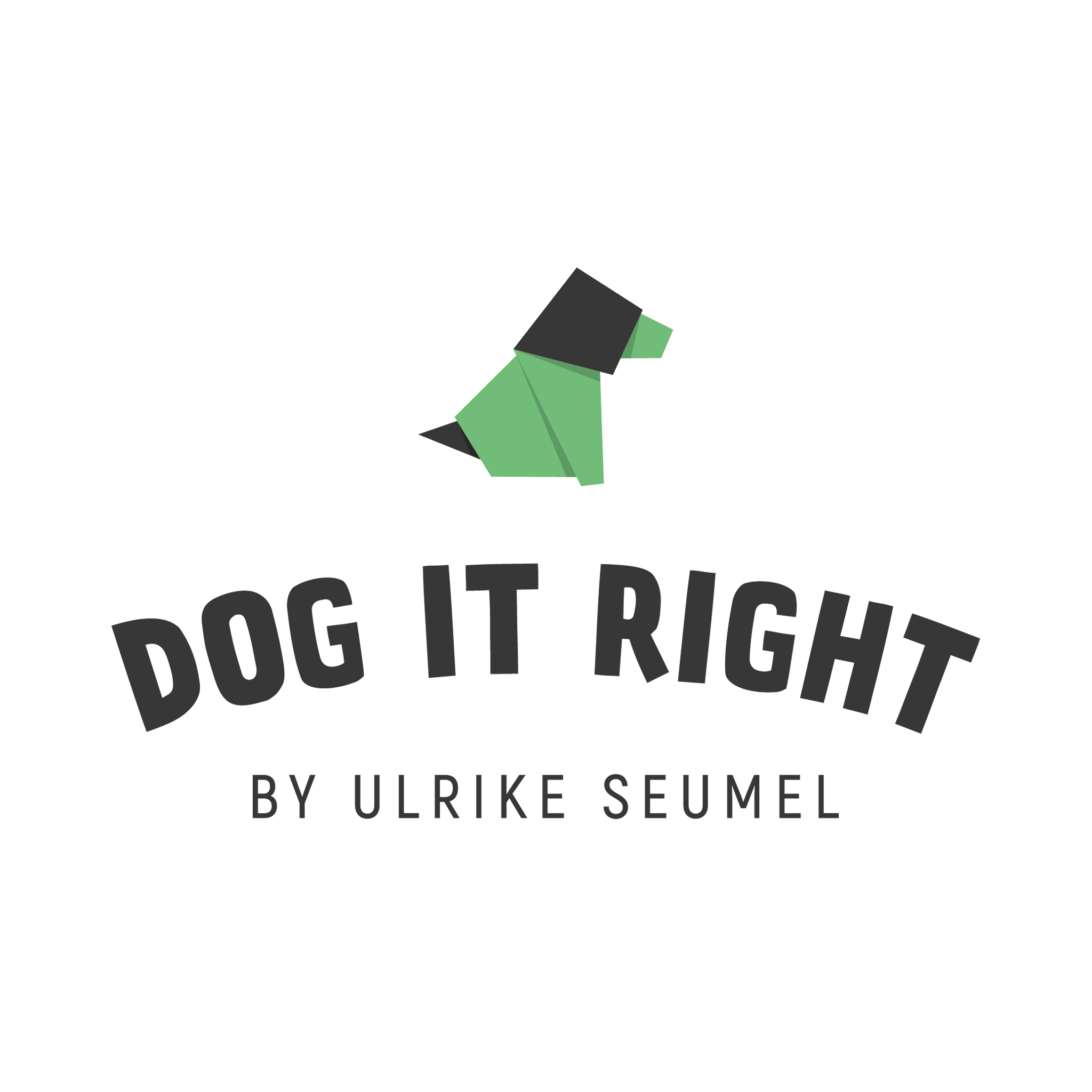 Dog it Right